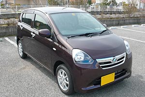 �{�f�B�f�U�C���E�΂�