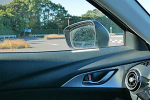 大きいドアミラー1