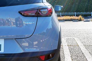 リアフェンダーとドアミラー