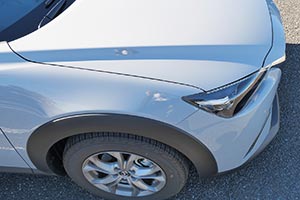 フロントフェンダーを上から