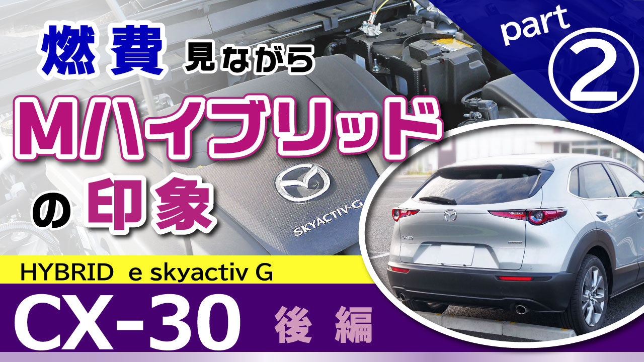 CX-30ERȂ烌r[ҁE}ChnCubḧ