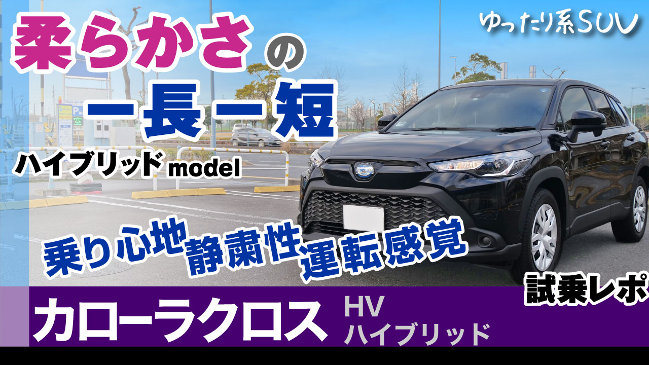 J[NXE惌r[