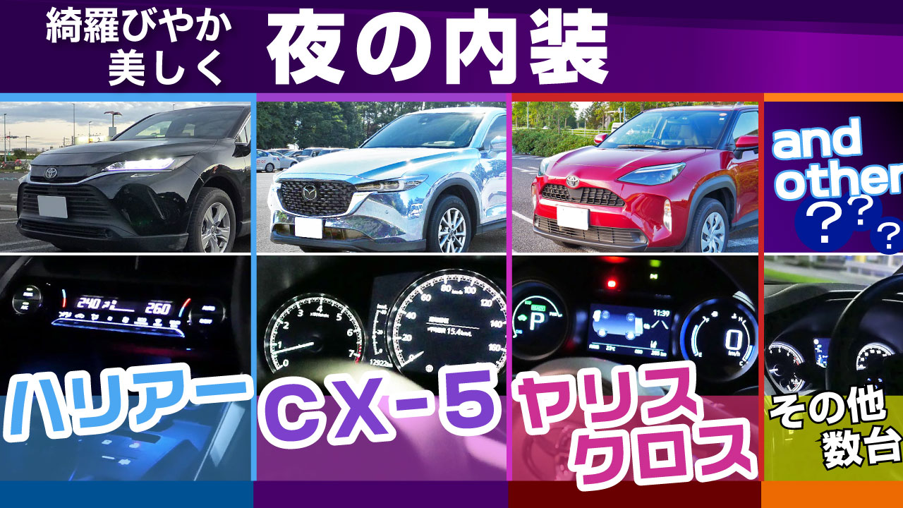 XNX̑A̓